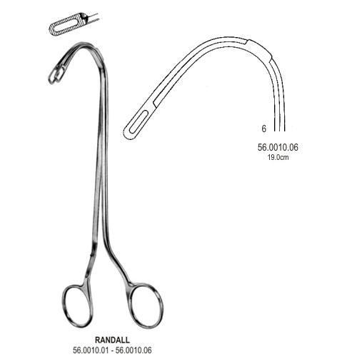 Gall Bladder